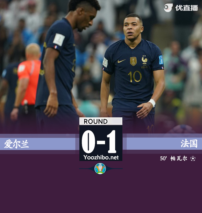法國1-0愛爾蘭 帕瓦爾世界波制勝邁尼昂神撲