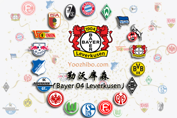 2019-20賽季勒沃庫森陣容名單一覽