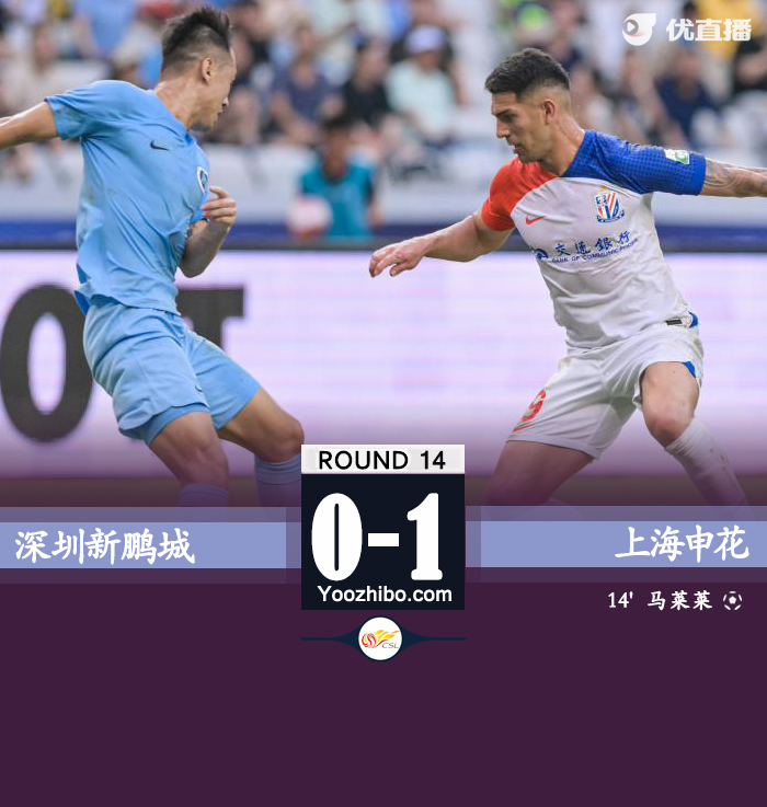 深圳新鵬城vs上海申花隊
