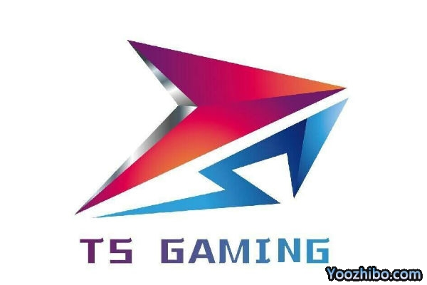 王者榮耀西部賽區-TS戰隊現役成員