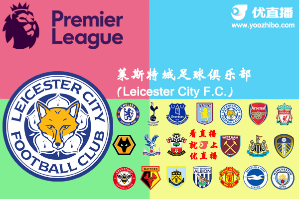 2018-19賽季萊斯特城陣容名單一覽