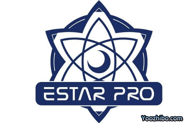 王者榮耀東部賽區-武漢eStarpro現役成員及戰績