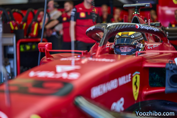 施瓦茨曼：F1的夢想可能越來越遠，我很難過